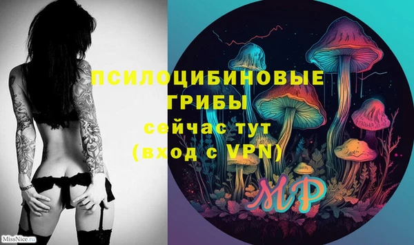 амфетамин Белокуриха
