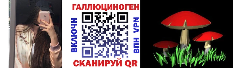 Псилоцибиновые грибы Cubensis Купить закладки Сасово